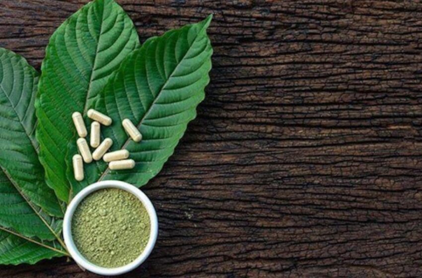  How do you maintain a balanced life while using red thai kratom?